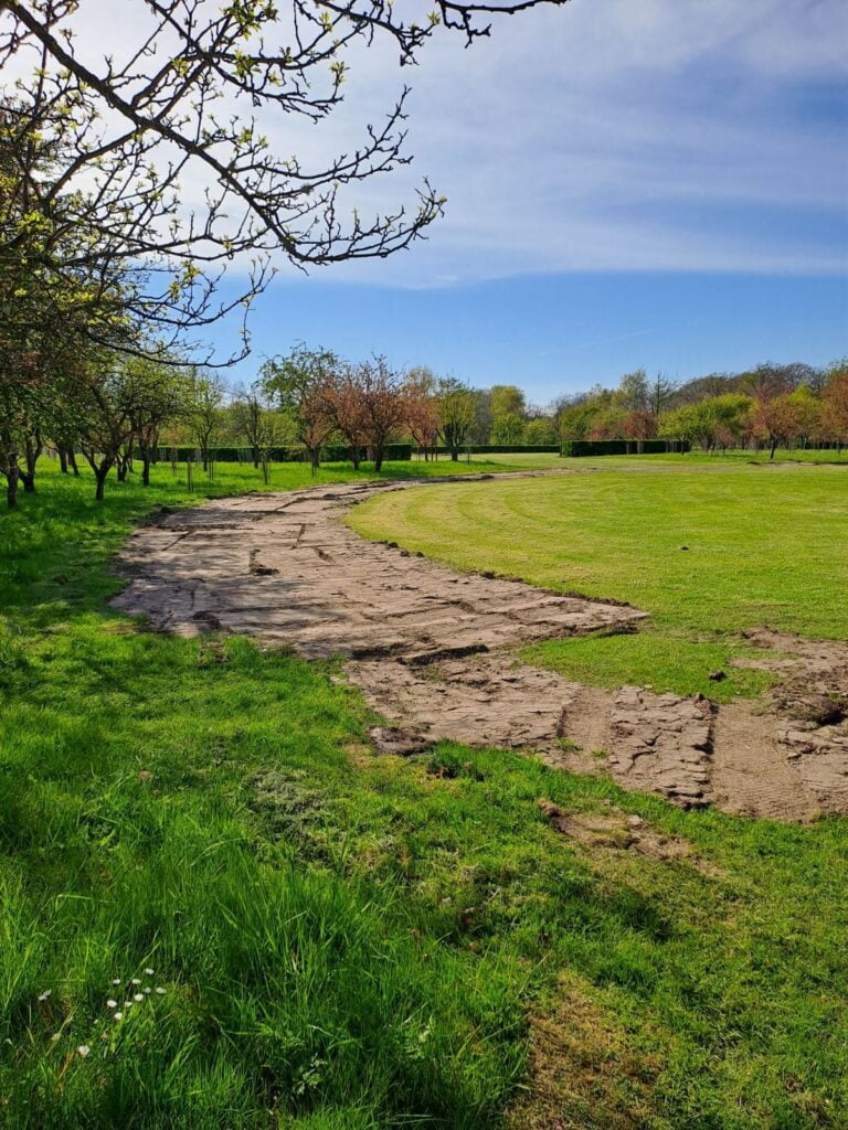 Grøn park med træer og græssti under blå himmel